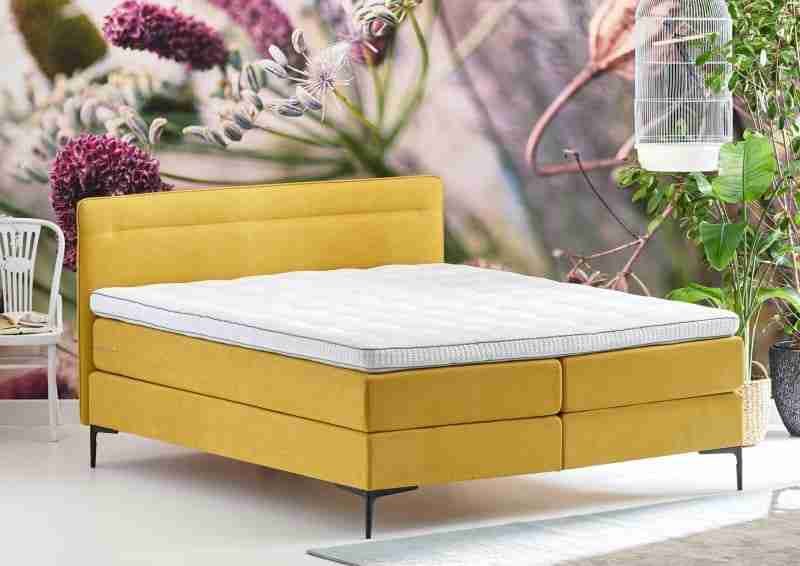 Cinderella boxspring Tender Cinderella boxspring Tender